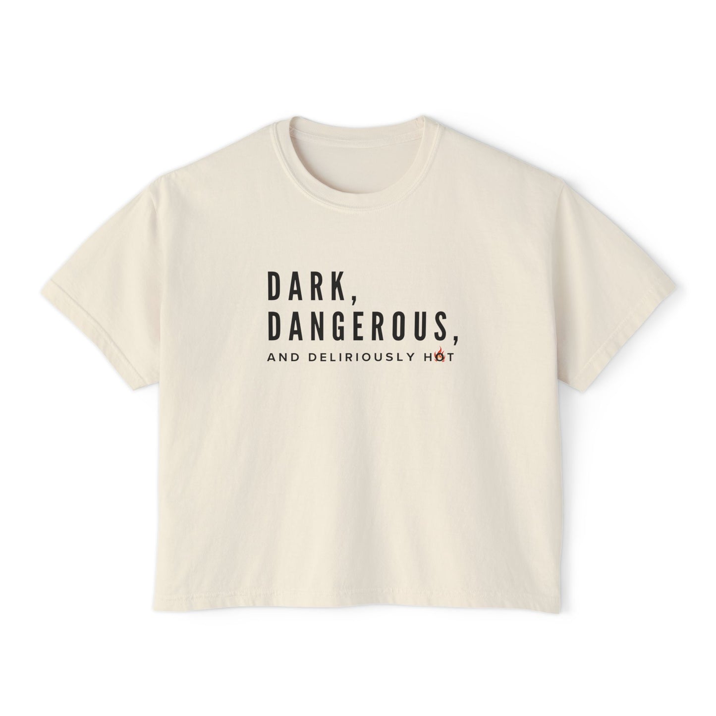 Boxy Tee - BookTok Inspired Dark, Dangerous, and Deliriously Hot Statement Tee for Women