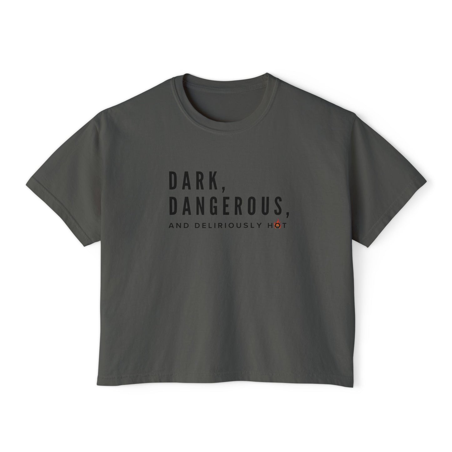 Boxy Tee - BookTok Inspired Dark, Dangerous, and Deliriously Hot Statement Tee for Women