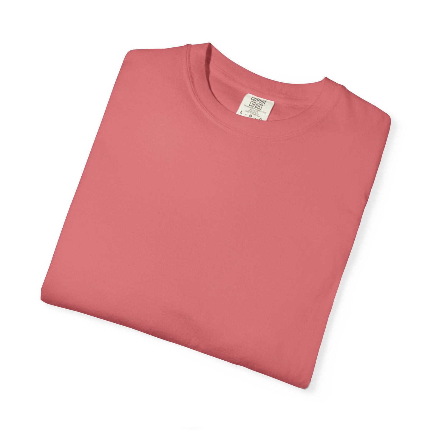 Bookish Dragon Rider T-shirt - Unisex Garment-Dyed