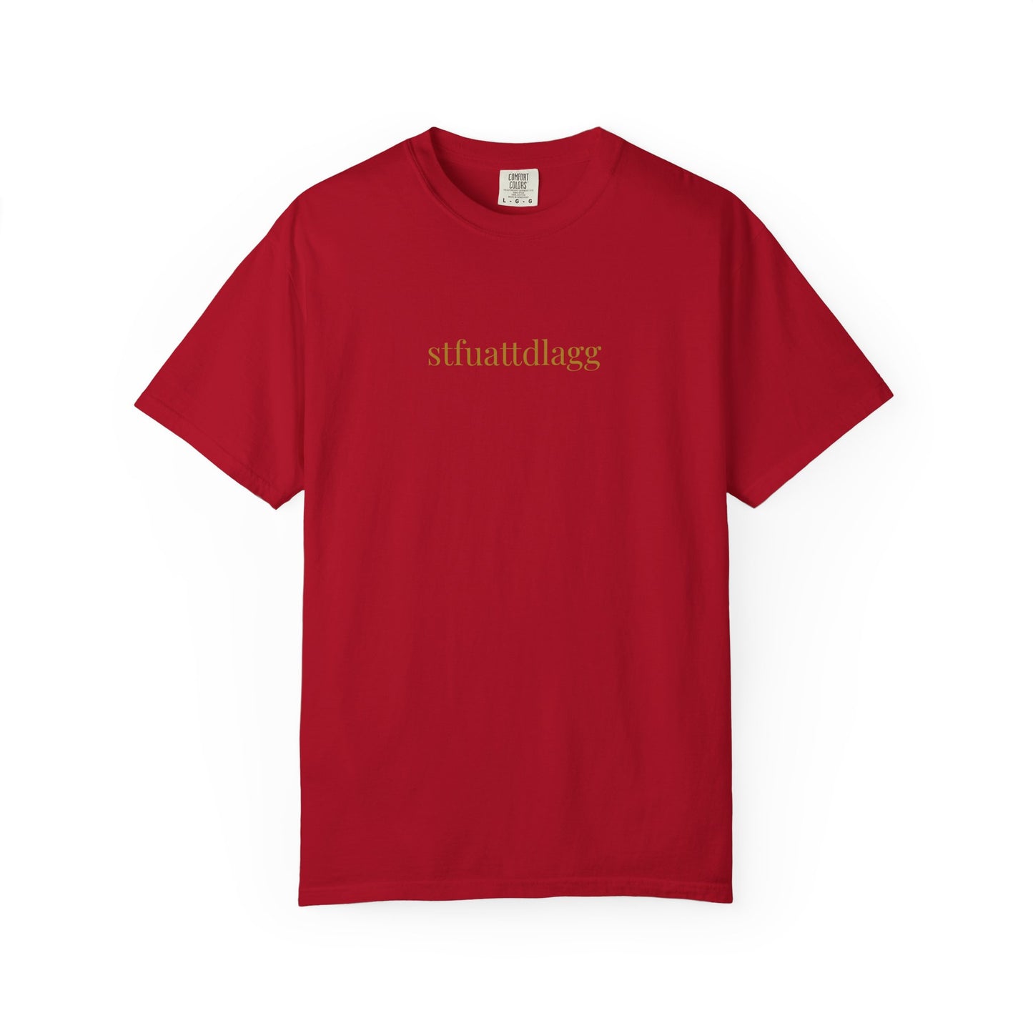 STFUATTDLAGG Minimalist Tee | Subtle Spicy BookTok Shirt