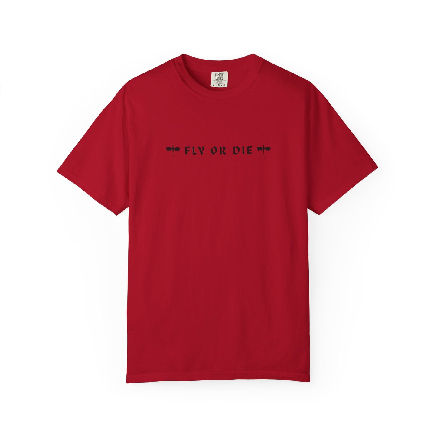 Fly or Die Tee | Fourth Wing Dragon Rider Shirt for BookTok Readers