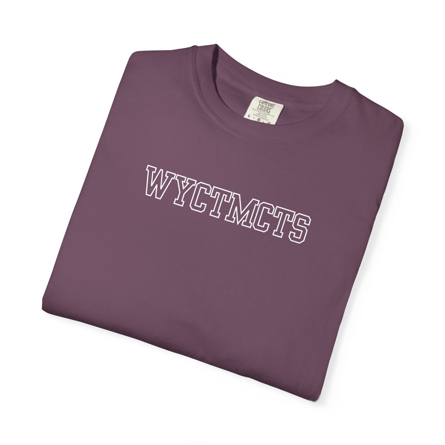 WYCTMCTS Shirt | Minimal IYKYK Romance Reader Tee